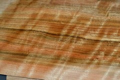 Queensland Walnut Raw Wood Veneer Sheet 7 x 45 inches1/42nd WOW! I7649-46