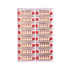 Dental Acrylic Resin Tooth Denture False Teeth Upper Anterior Lower 6Set*16Pc