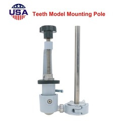 Dental 200 Type Typodont Model With Removable Teeth fit Kilgore NISSIN M8012