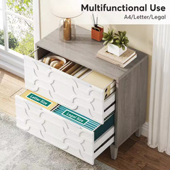 Cindy 2-Drawer White Gray Wood 31.5 In. W Lateral File Cabinet A4/Letter/Legal S