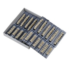 168pcs Denture Acrylic Resin Shade 23#A2 Dental Teeth Upper Lower Full Set Tooth