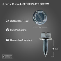 License Plate Screws – Slotted Hex Head – Metric – 6mm x 16mm – For Vehicles (10