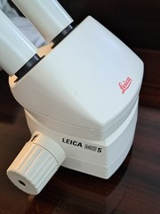 Leica MS5 Stereoscope