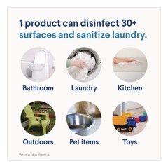 Clorox 32263 81 oz. Bottle Concentrated Regular Disinfecting Bleach (6/CT) New