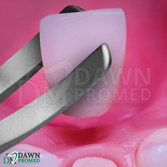 2 Pcs T/C Wynman Crown Remover & Gripper Forceps 7″ Surgical Dental Instruments