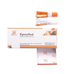 SafeEndo EpoxySeal Root Canals Sealerr Based on Epoxy Resin with Zirconium Oxide