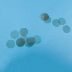 Mica Transparent Round Foil Plate 0.07mm – 0.2mm Clear Thin Disc 10mm – 65mm