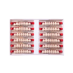 US Dental Acrylic Resin Teeth Anterior/Posterior Shade A1/A2/A3 Full Set Denture