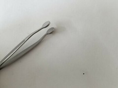 Collins Expressor Forcep Expression Meibomian Gland Meibom Ophthalmic Eye GERMAN