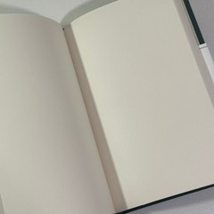 Shinola Detroit Plain Pages Journal Notebook RVM Monogram Green New