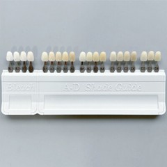 Dental Teeth Shade Guide Porcelain Ivoclar 20Color A-D Tooth 4 Bleach Vivadent