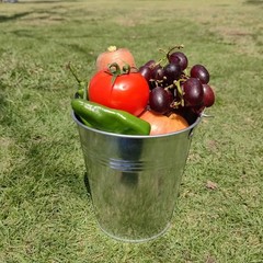 Drip Grease Bucket and 1 pack Black & 12 Liner,