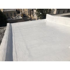 Black Jack 5576-1-20 Silicone Roof Coating, White, 1-Gallon – Quantity 1