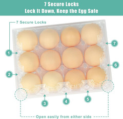 100 Pack Clear Plastic Egg Cartons, Holds 12 Eggs Each, 3×4 Grid
