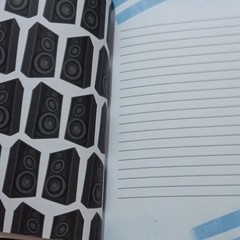 Balzer + Bray Find Your Voice, Make Some Noise Journal Illustrated