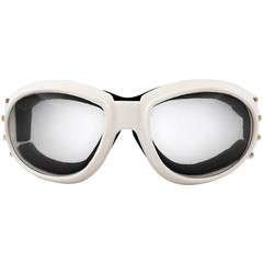 Birdz Eyewear Eagle Motorcycle Padded Goggles White Frame + Clear Lens