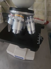 Omax Microscope