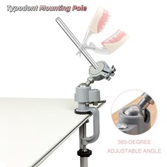 Dental Typodont Mounting Pole Teeth Model 360° Rotating not Teeth Model USA