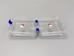 10 Pcs Denture False Teeth Membrane Case Container Hinged Display Box Jewelry