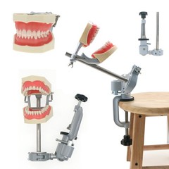 US Dental Overdenture/Implant/Orthodontic Typodont Ortho Training Teaching Model