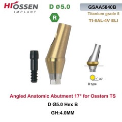 Anatomic Titanium Angulated Abutment 17 Degree Angle Regular Ø5.0mm For Hiossen