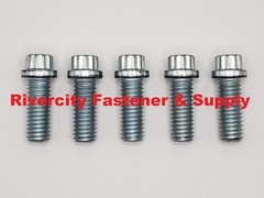 3/8-16×1 Alloy Steel 12 Point Flange Screws 3/8-16×1 Extra Strong Bolts 3/8×1 ZN