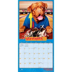 Avanti Dogs Gone Wild OFFICIAL | 2027 12×24″ (Hanging) Square Wall Calendar