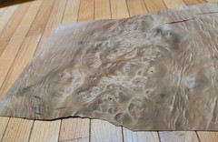 Myrtlewood burl veneer 1 piece 21″ x 15 1/4″ to 16″ & 1/42″ wood cracks 9″