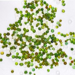 30P 50g Silica Gel Desiccant Packs, Moisture Absorbers Dehumidifier for Storage