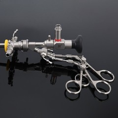 Rigid Urology Cystoscope 30 Degree 4x302mm Sheath & Endoscope Bridge