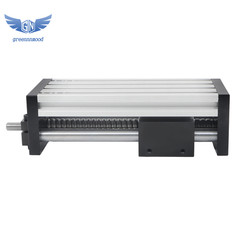 100mm Dual Optical Axis Manual Sliding Table Ballscrew SFU1605 Linear Guides
