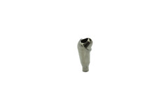 5x Dental MegaGen® Bluediamond NC Compatible Angled Multi Unit 30° Abutments