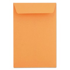 Kraft Catalog Coin Envelope Size: 3 1/8×5 1/2, 2 1/4×3 1/2, 6×9, 9″x12