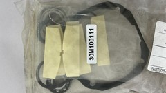 PROTO 30M100111 Motor Tune Up Kit