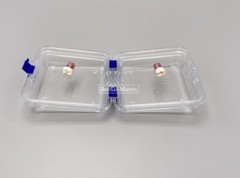 10 Pcs Denture False Teeth Membrane Case Container Hinged Display Box Jewelry