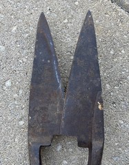 Vintage Sheep Shears Shearing Hand Shears Clipper Scissors Cutters Wool ANTIQUE