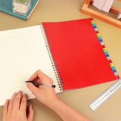A-Z Plastic Binder Dividers 21 Tab, Alphabet Dividers with Tabs for 3 Ring, M…