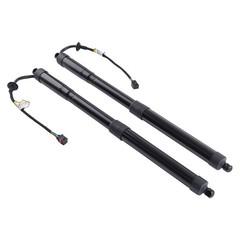 2* Rear Trunk Tailgate Lift Supports Struts Shocks For Kia Sedona 3.3L 2015-2021