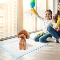 50Pcs Per Set Dog Training Pads Puppy Pee Pads Cat Wee Mats Potty-Train 24in X 1