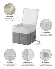 2-Pack Rigid Clothes Hanger Organizer Bag with Dust-Proof Lid, Hanger Storage…