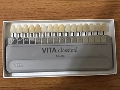 VITA Classical Dental Shade Guide ORIGINAL LIMITED STOCK