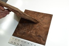 Walnut Burl Raw Wood Veneer Sheet 10 x 10.5 inches 1/42nd thick 4671-85