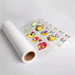 DTF Transfer Roll Film 24in x 328ft DTF Film Premium Hot Cold Peel Promotion