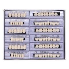 168PCS Acrylic Resin Denture Dental Upper Lower Shade A1 A2 A3 Teeth Set USA