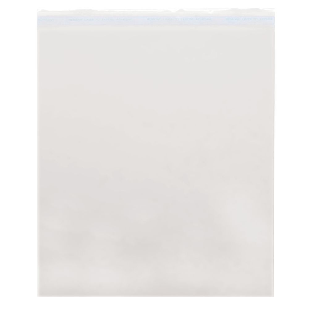 TEMKIN INTERNATIONAL Lip and Tape Bag 12.25″ X 12.25″, 12.25″ by 12.25″, Clear