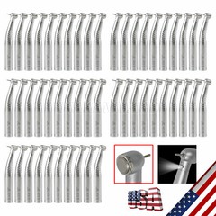 Standard Head Dental High Speed LED Fiber Optic Handpiece fit KaV Coupling New
