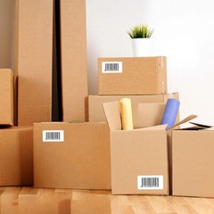 12Rolls 2″x1″ Direct Thermal Labels 1300/Roll Barcode UPC/ FBA for Zebra & Rollo