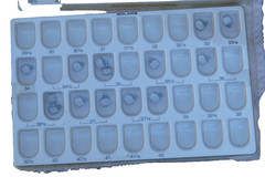 molar bands