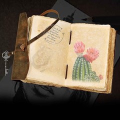 cuero Compass Vintage Leather Journal Antique 4 Inch X 6 Inch, Brown
