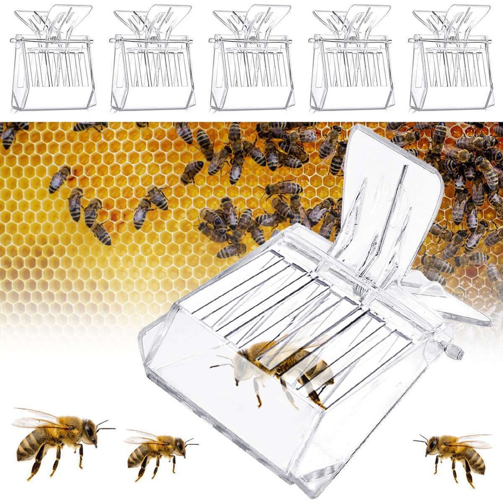 5PCS/Set Queen Bee Catcher Clip Cage Catching Beekeeping Equipment Plastic Clear